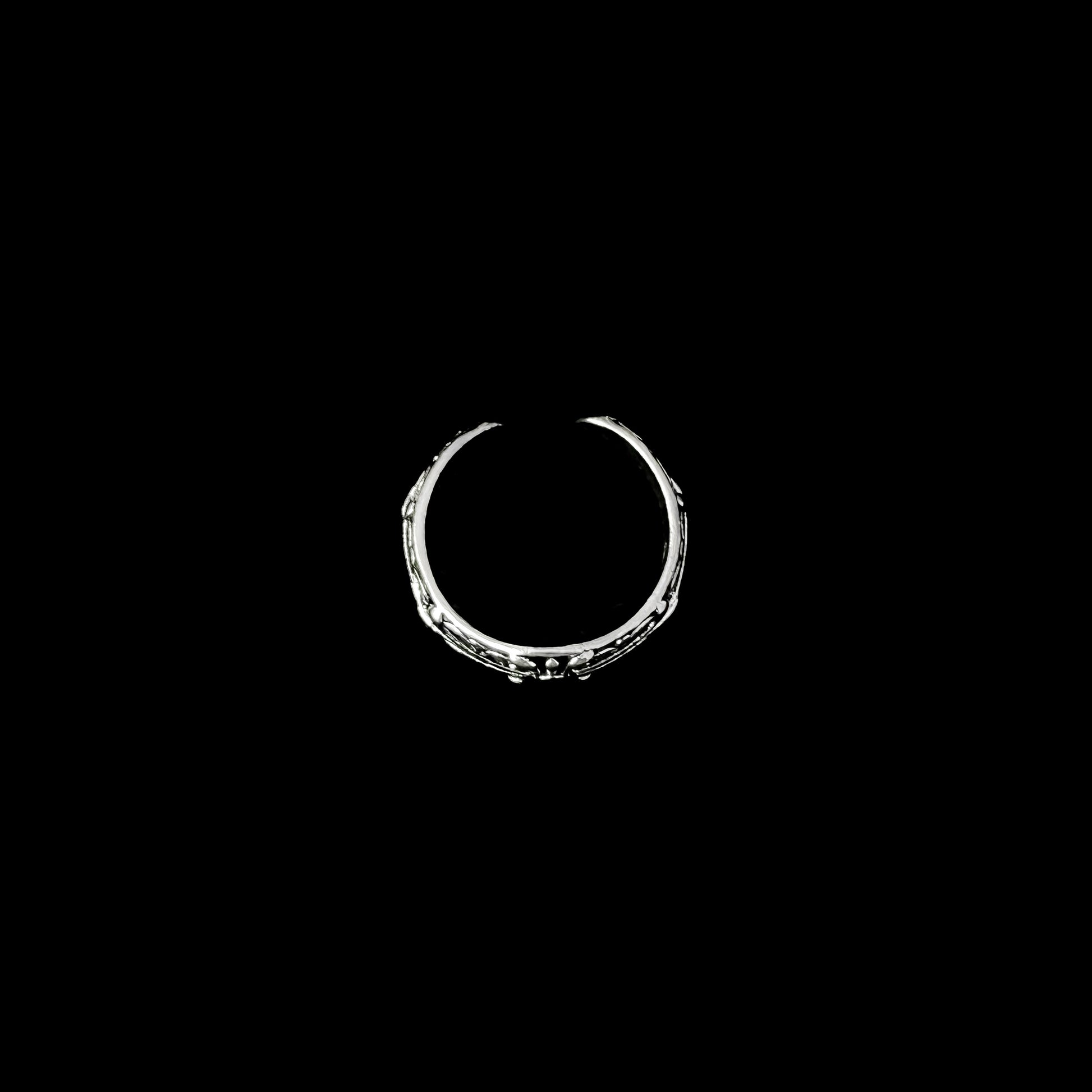 Anillo CH