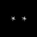 Chrome Star Stud Earrings