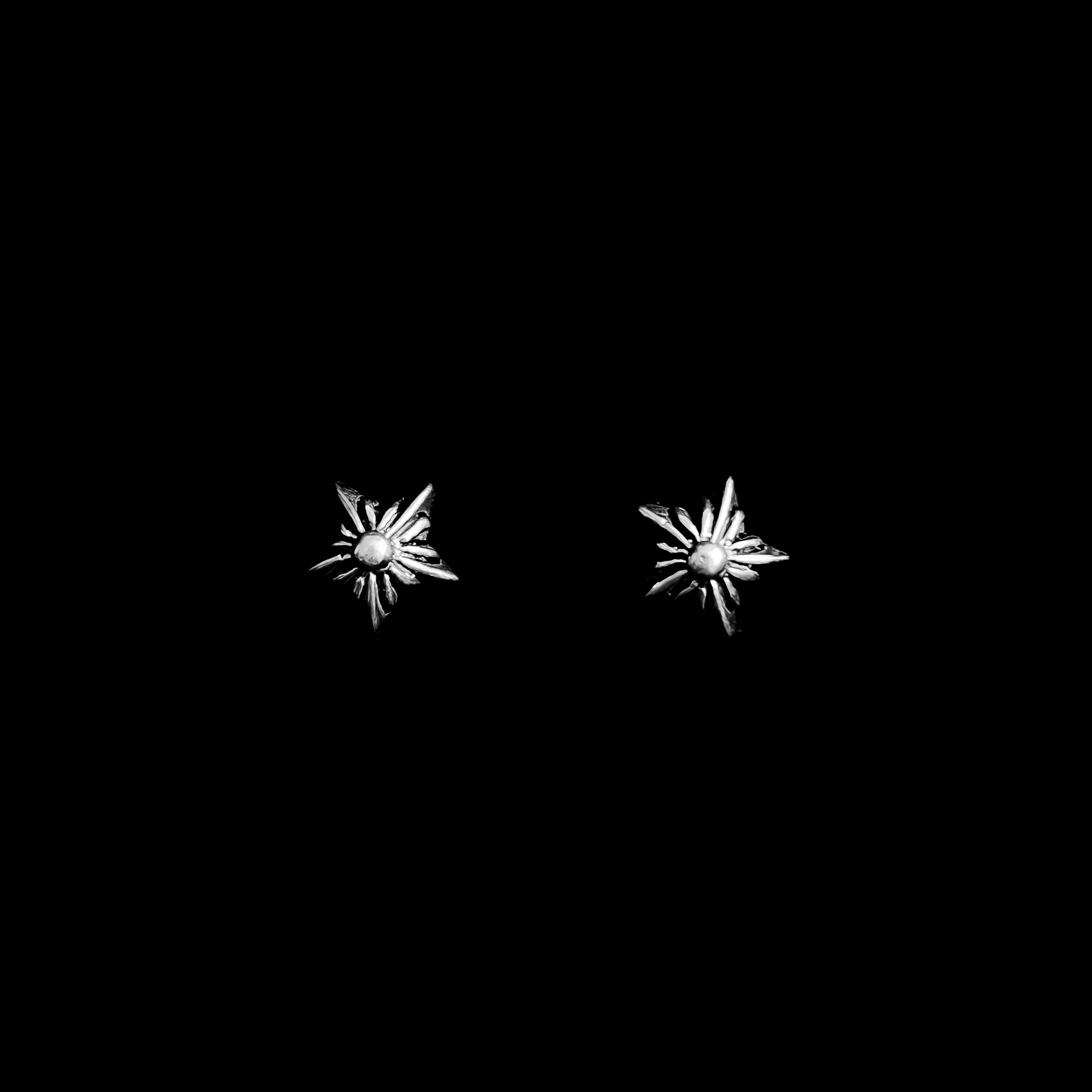 Chrome Star Stud Earrings